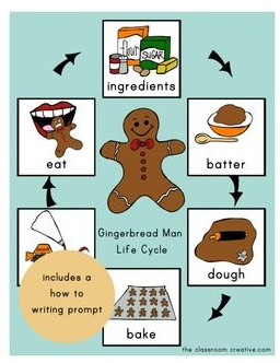 gingerbread life cycle activity 