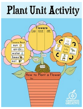 plant unit activity