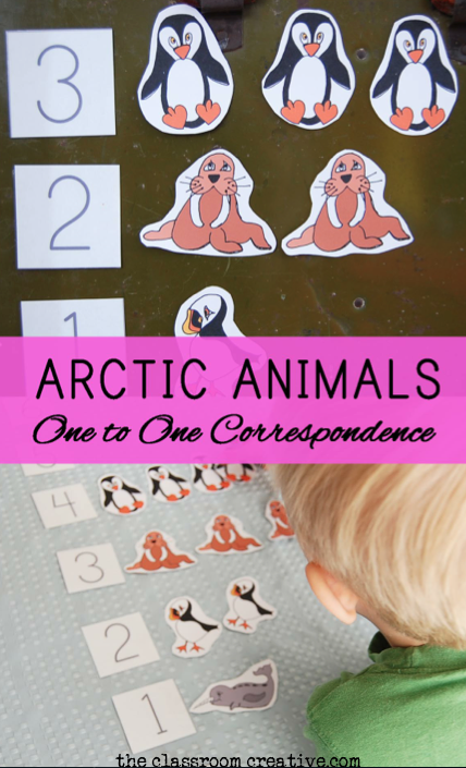 Arctic Animal Math Center: One to One Correspondence