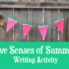 Free Five Senses Writing Activity for Summer