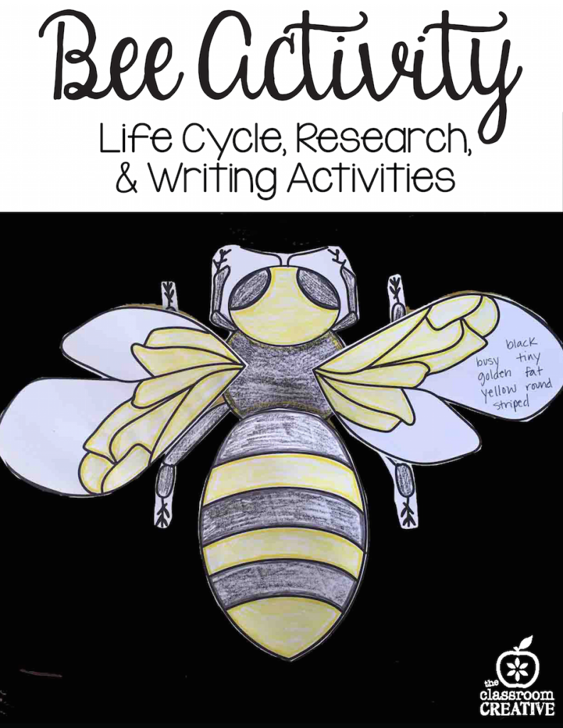 bee activity, science, language arts, drawing