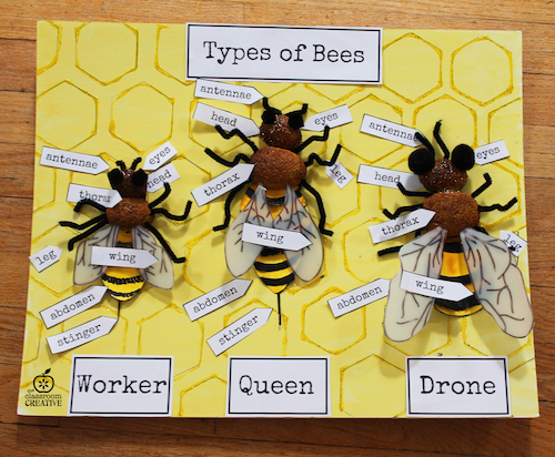 Creative bee crafts for adults 