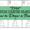 Free Spring Directed Drawing: The Step by Step Process of Drawing a Bunny