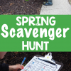 Spring Scavenger Hunt Ideas