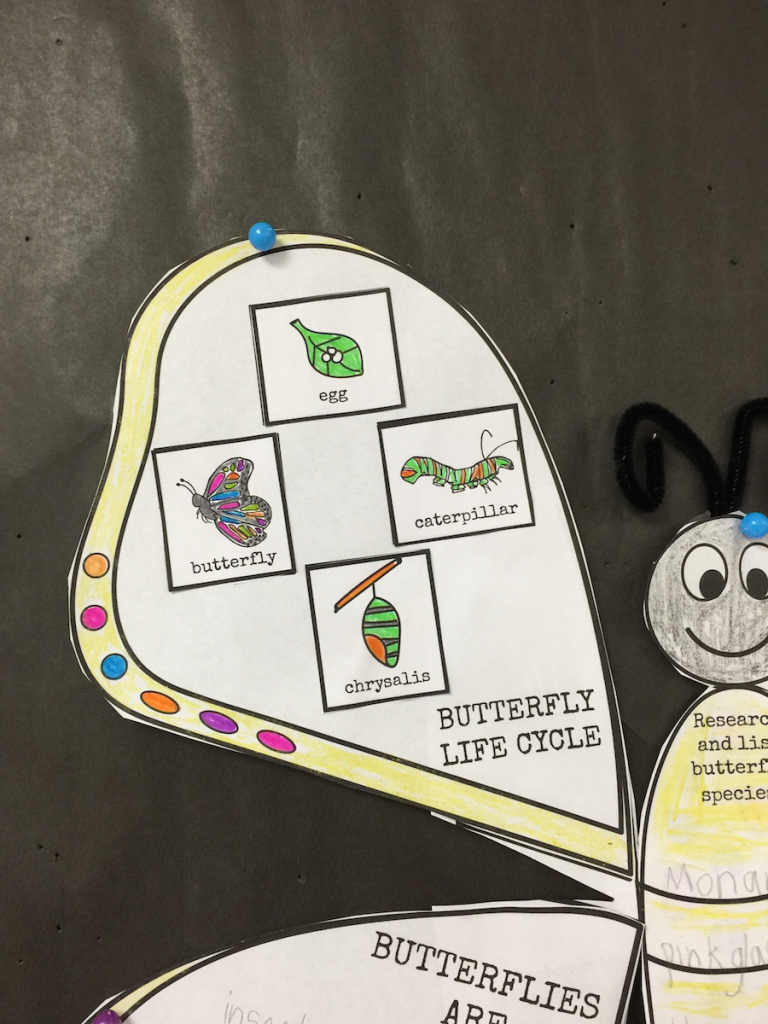 butterfly life cycle unit activity