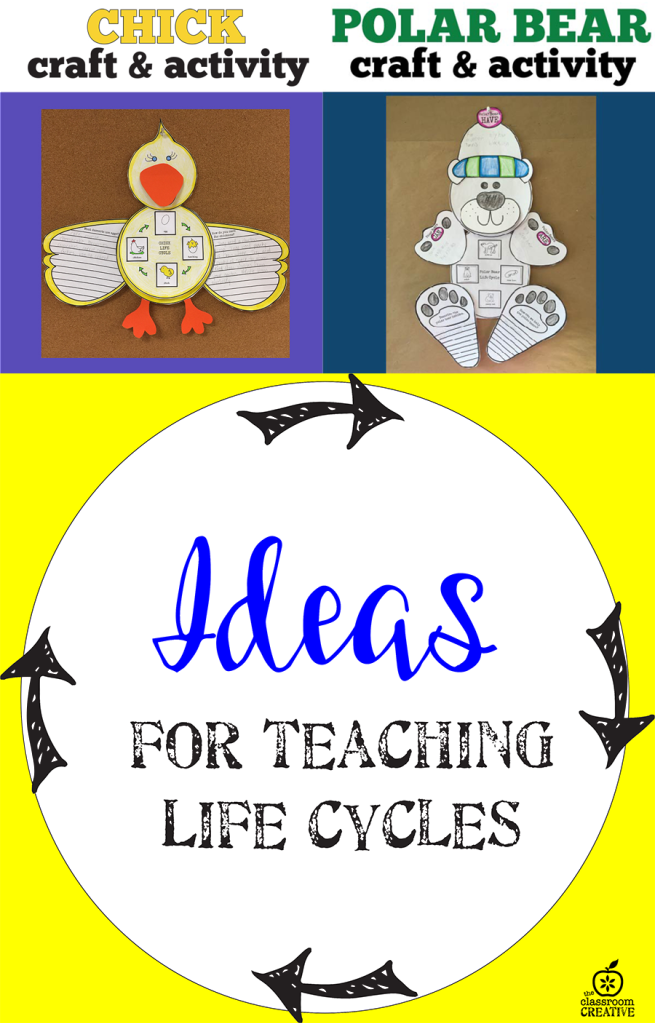 human life cycle printables