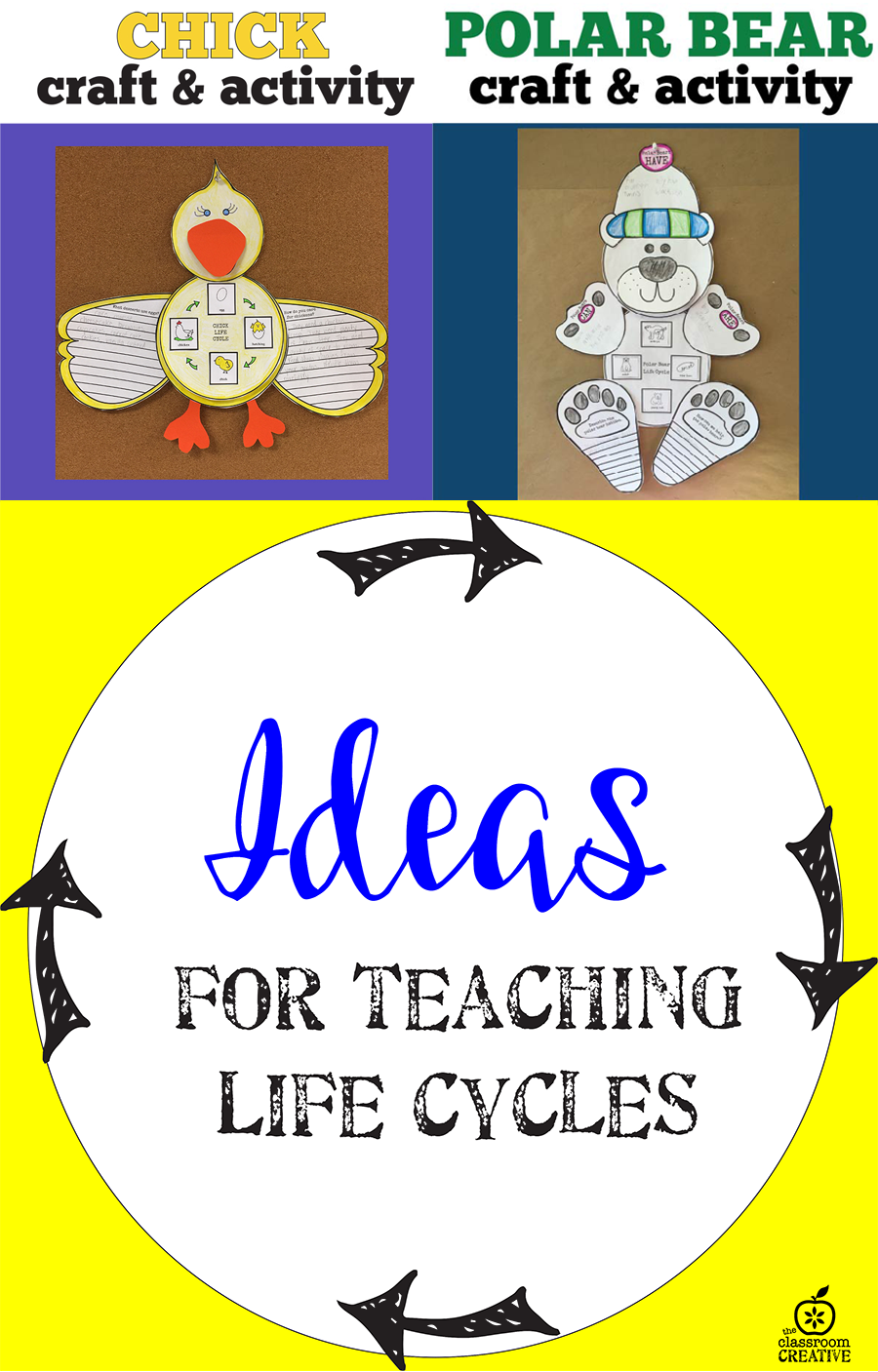 life cycle activities for fall, winter, spring, summer