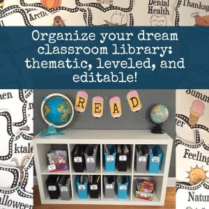 Classroom Library Ideas: Organization and Fun Storage