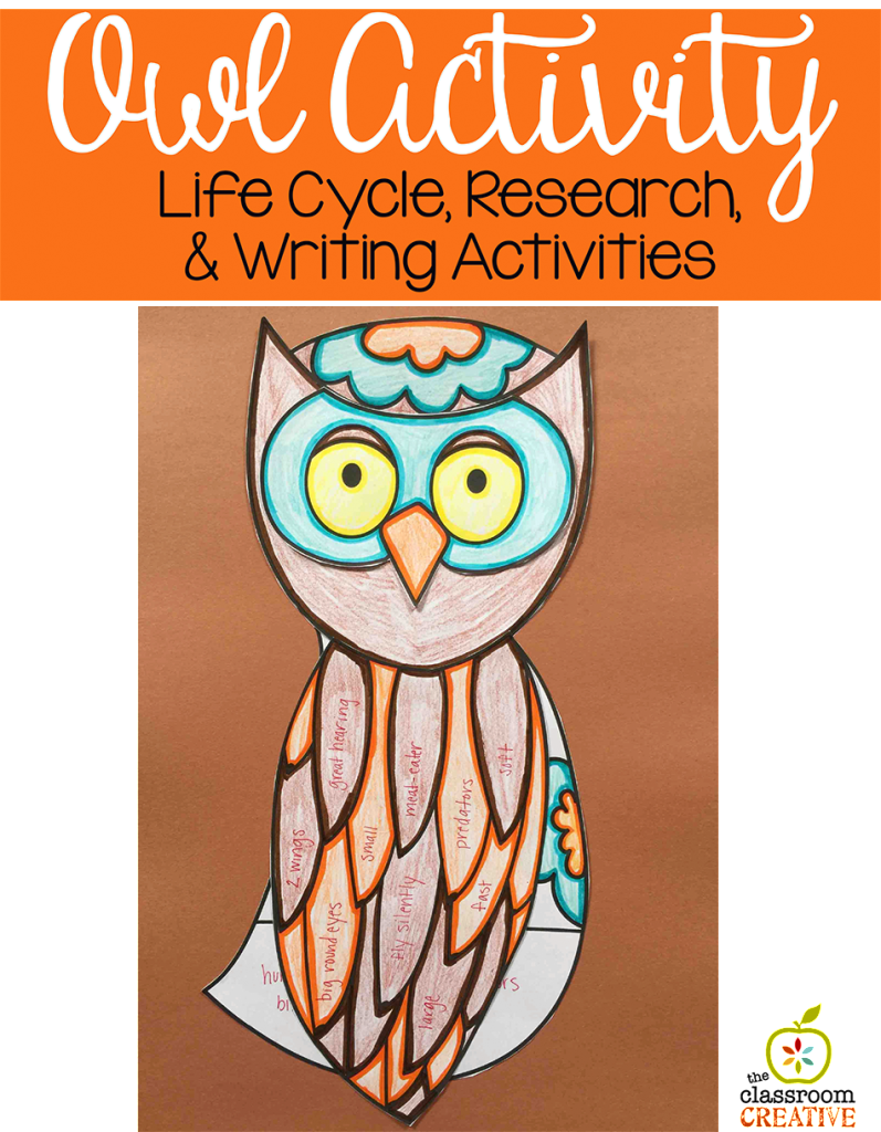 owl craft activity