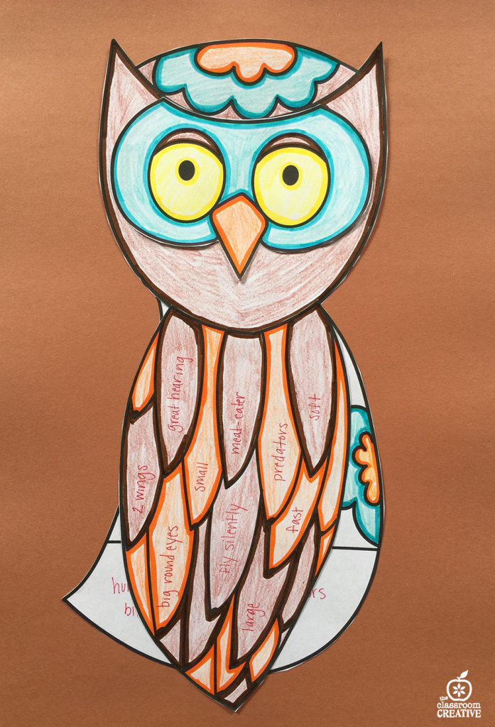 Owl ELA Science activity