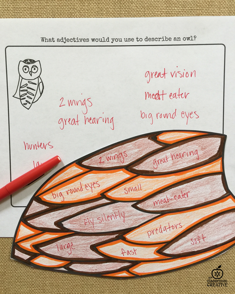 owl adjectives, verbs