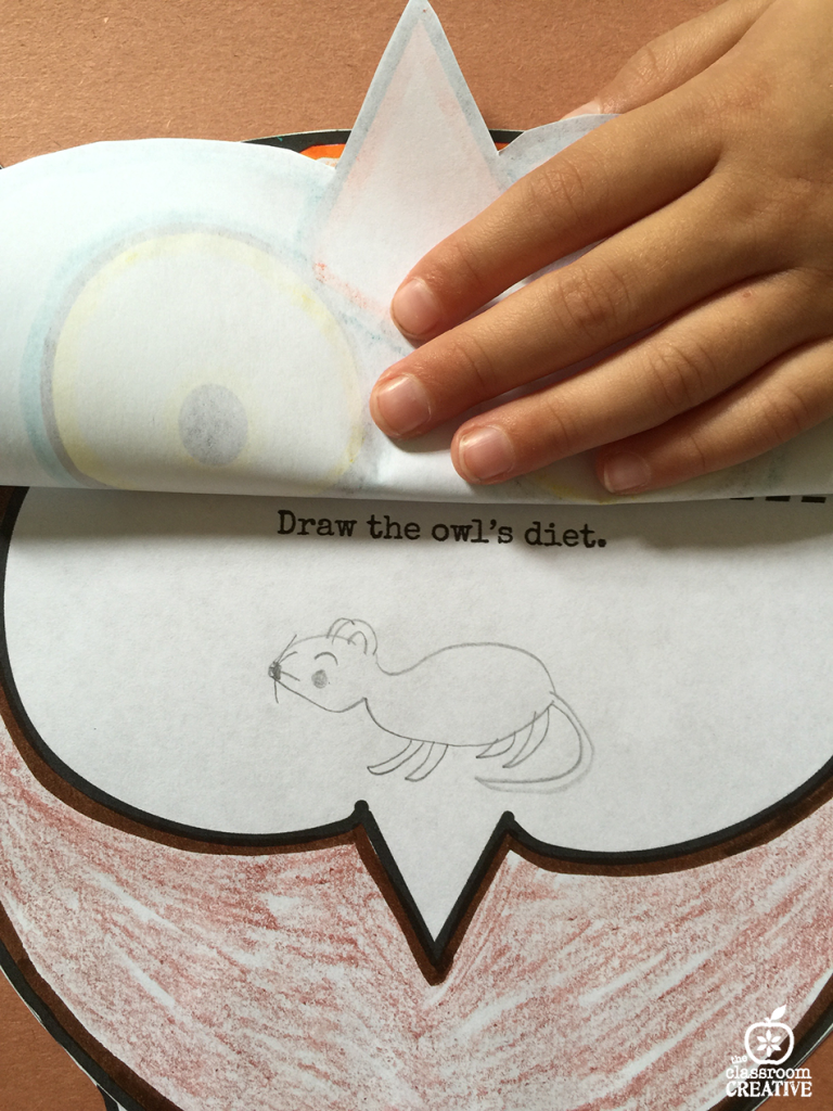 owl craft and drawing activities