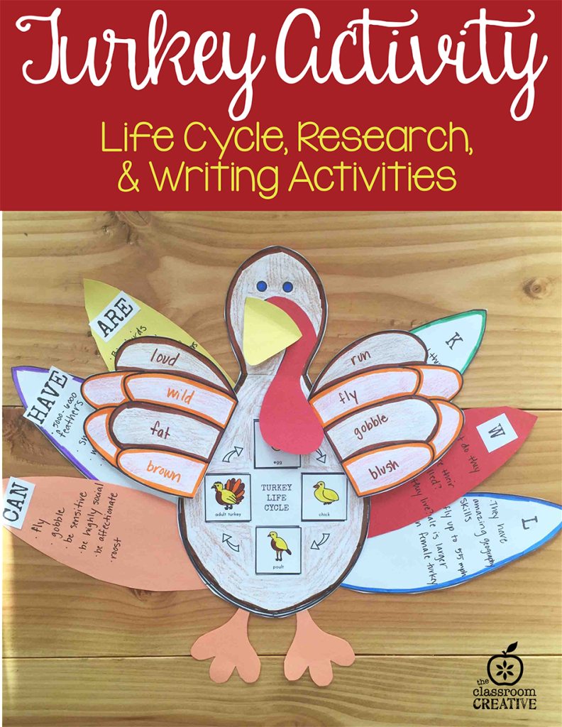 turkey science craft